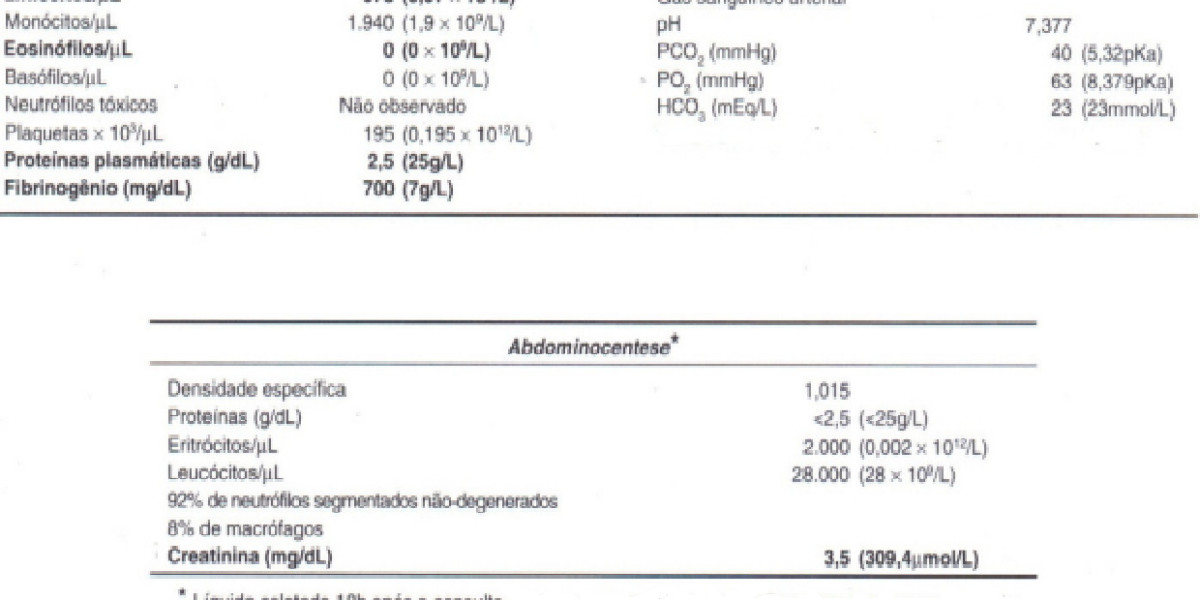 Ultrassonografia Veterinária: A Chave Para Diagnósticos Precisos em Pets