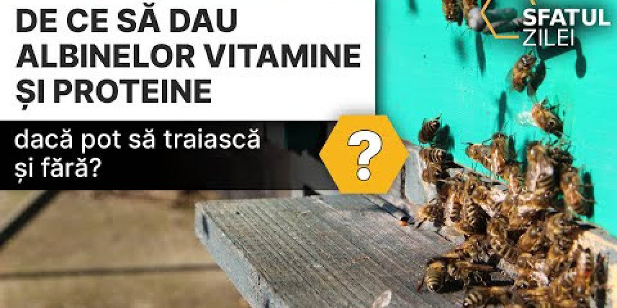 Té de ruda Beneficios, para qué sirve y cómo hacer esta infusión