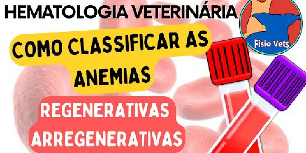 ¿Se le Puede dar Hígado a un Perro? Beneficios y Contraindicaciones