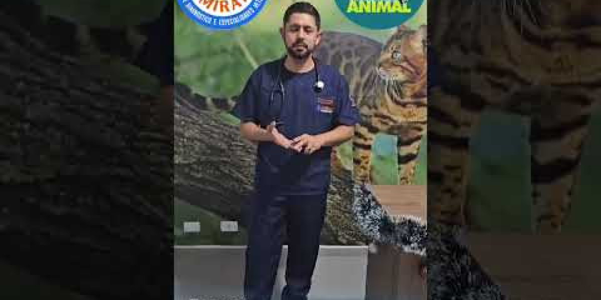 Radiografía de los animales Radiografía de los animales