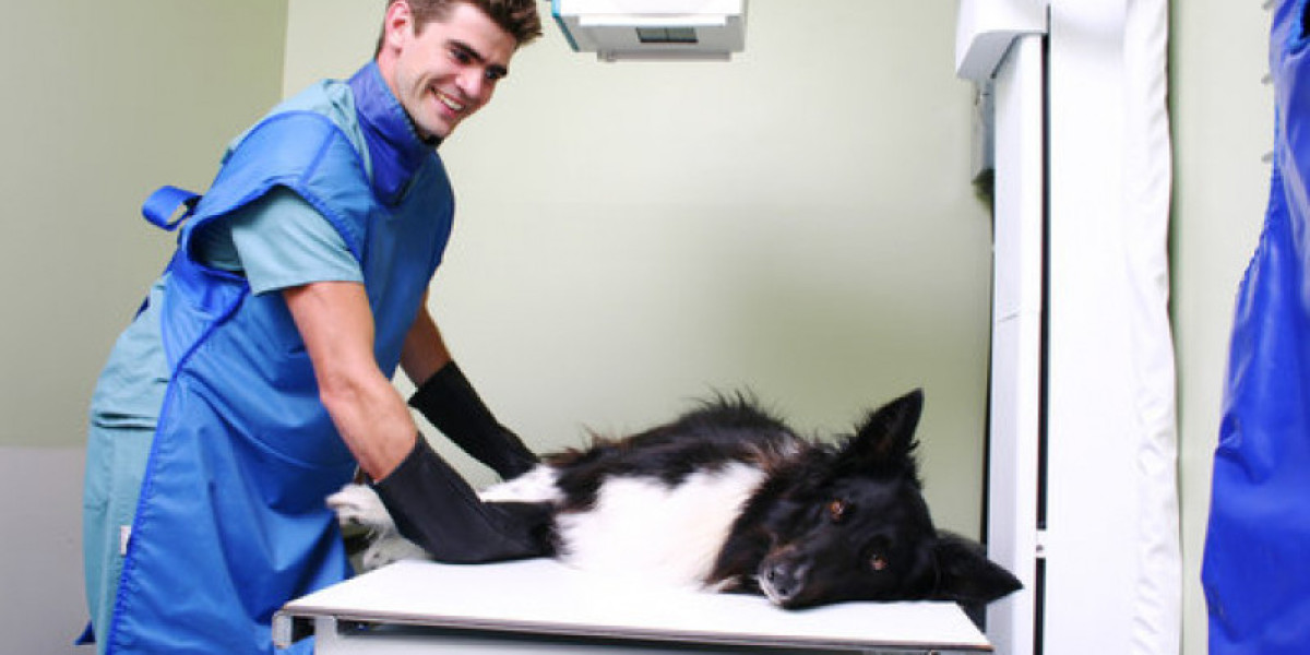 ¡Descubre todo sobre el ecógrafo veterinario que todos están hablando!