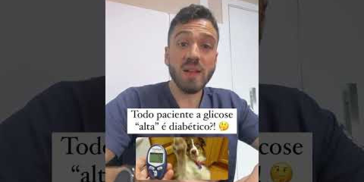 Guía completa: Cómo cuidar a un perro con problemas del corazón en casa PlantHouse Dream