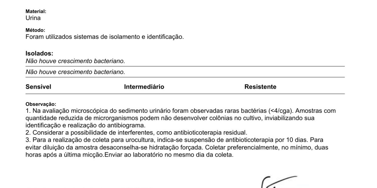 Problemas cardiacos en los perros: por qué es importante detectarlos a tiempo