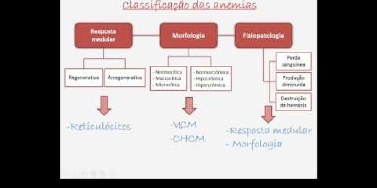 Diagnóstico Por Imágenes Para Felinos Ultrasonido, RMN, Rayos X, Radiología