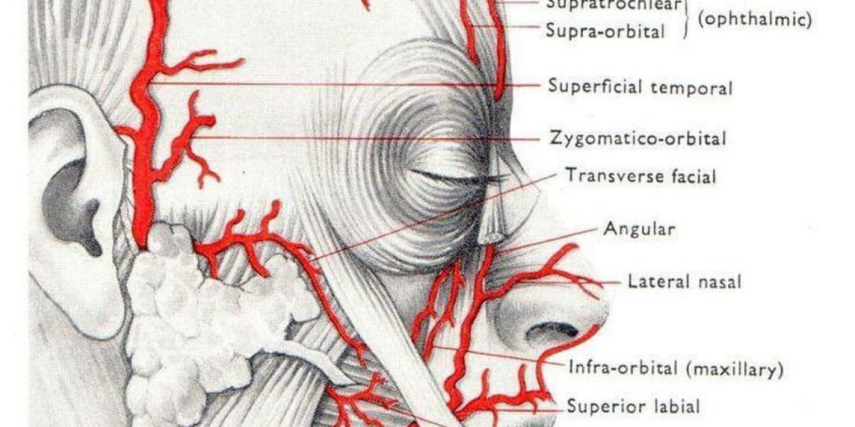 Do chemical peels build collagen?