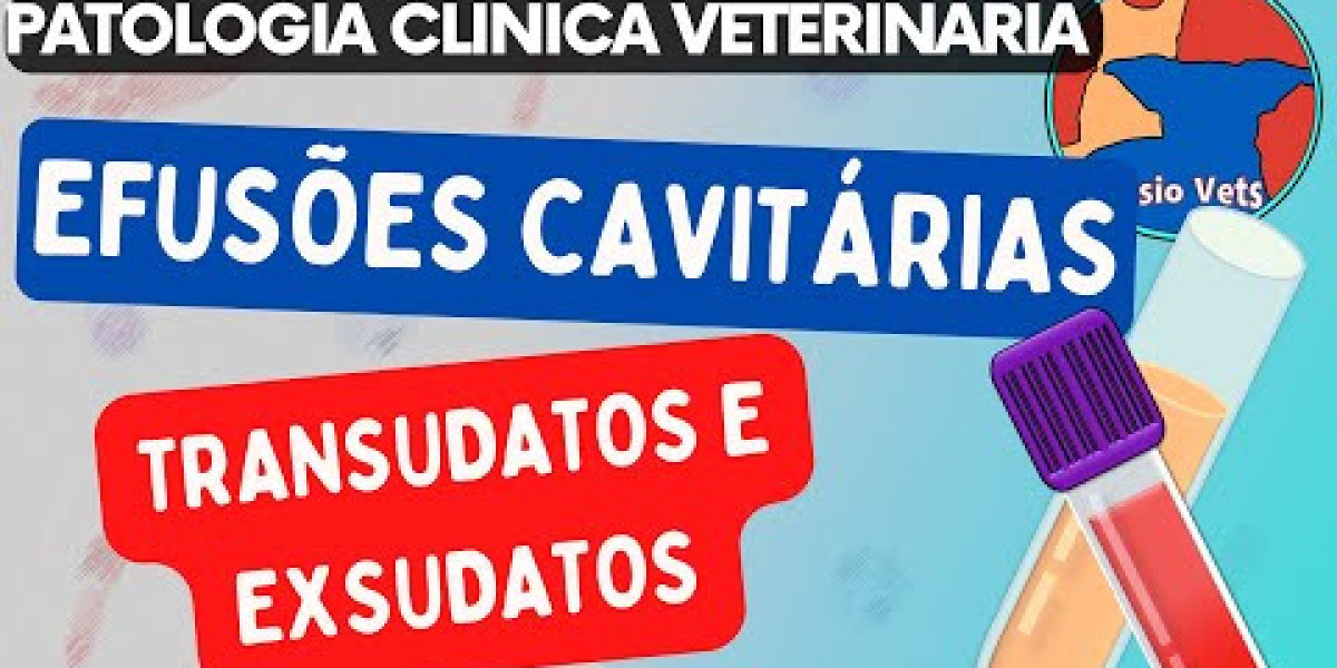 Initial Consultation CVCA Cardiac Care for Pets