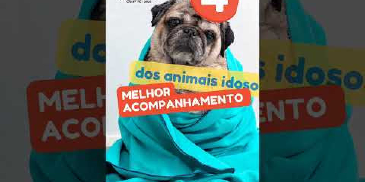 Insuficiencia Cardiaca en perros: Guía completa del corazón canino Mascota y Salud